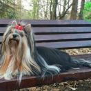 LILI Klan Biewier-Rott