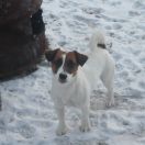 Заводной Апельсин Зои Салдана