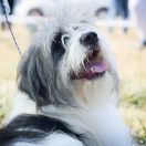 KRZESLAW FUTRZAK PODLASKI