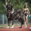 BIAR MARQUES de Tramasterra