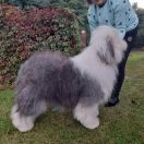 FABIEN Z Wlochatej Chaty