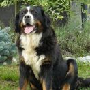 MARGO Ukojenie Życia