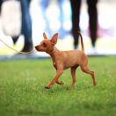 JASULKA Secure Power