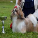 Multi CH. MEANING OF LIFE AMIDALA PADME