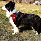 Anidamara FOLLOW TOGETHER 