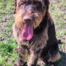 Nancy ze Staropleskych luk