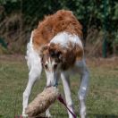 OLEG z Jurajskich Biskupic