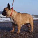 ELZA Leśne Najmadiu