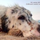 KYLIE SIMAX SILVANUS NICKITA