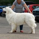 DOBROWIT Athel Loren 