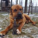 HIROSHI z Bursztynowego Brzegu