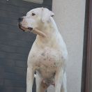 MADRINELA Di Casa Nardini