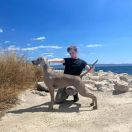 WIWA Weimaraners House