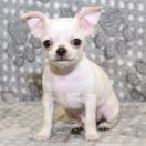 Alter Ego Emerald In Gold