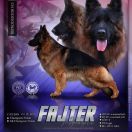 FAJTER Z TROJAŃSKIEGO LASU 