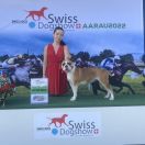 Yapafoto Switzerland original Buffy