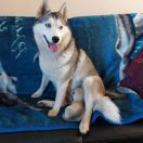 GRACE The Future is Ours