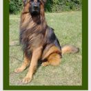 FIGO Varmenberg vel TORO 