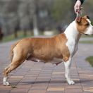 Hermina Tipit z Hanky