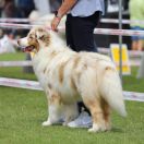 POCKETFULL OF SUNSHINE Trinkets 