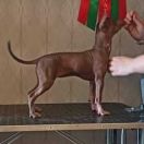 Skogsälvans Lucky Doris