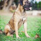 Mathilda Sotto Castello