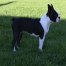 KEJRA Veritaserum FCI