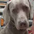 Eos de Memorias de África