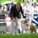 URANIA Pokerowy Żywot 