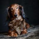 Sky Spirit UPRAVLYAY B VLASTVUY