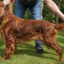 AMORE INFINITO Kucciolotti 