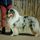 Anzhe Inais Radiance Blue 