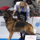 FARINA Andomi Poland