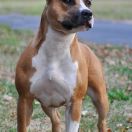 URODA Pokerowy Żywot