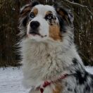 Ultramarina Star of Elune aka Yuka