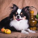 GAUDI GRAFFITI ON TOP 