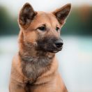 Kwest's Byeoljari at Yuukitohokori