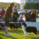 Dizzy Marble Above A Dream 