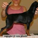 Sognador di casa Glaunic