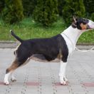 FATAMORGANA Hexeside 