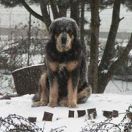 Ch.PL UPAMANDA Mahatma-la