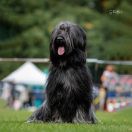 DEMONA VANIA auberge des ours heureux