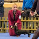 FELIKS z Fularowej Kliki