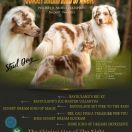 Sunset Dream Kind of Magic