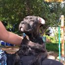 BLOW YOUR MIND Your Destiny FCI