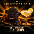 TRD IMPERIA DAIQUIRI