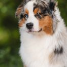 FLYING ELECTRA EpicStride