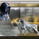 SIROCCO DU RUISSEAU DE MONTBRUN