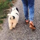 SPIRITUL MIORITICULUI ENIA MONASIM