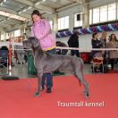 MultiCh Traumtall Knyazhna